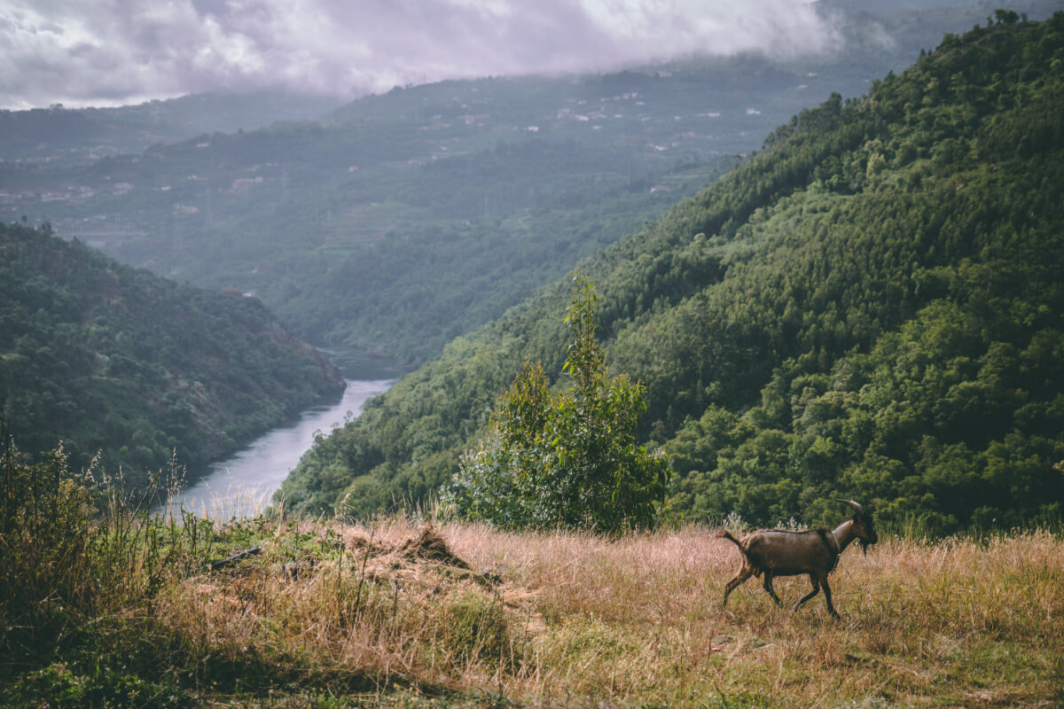 Product Strategy Series