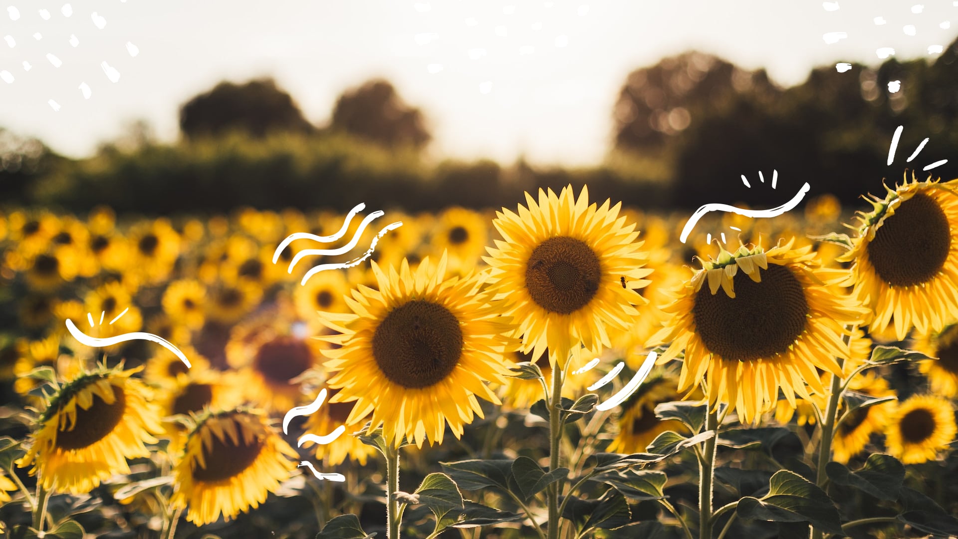 World Mental Health Day: Embracing the Human in Tech